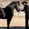 Free episodes and new movies on iTunes