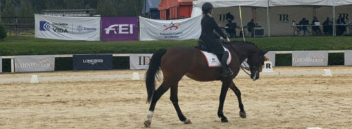 Campeonato Nacional de Adiestramiento