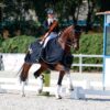 La equitación: arte, tradición y competencia en los Juegos Olímpicos