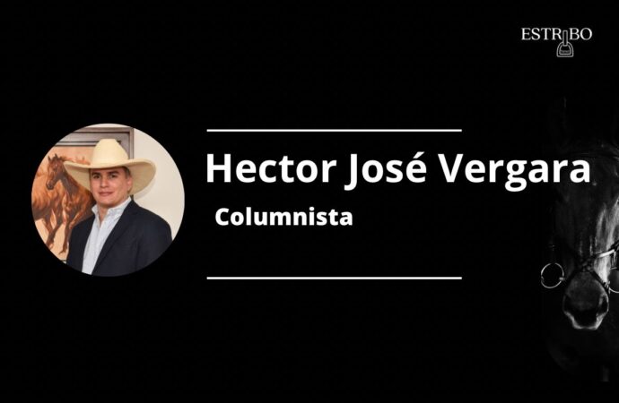 La equitación en caballo de paso