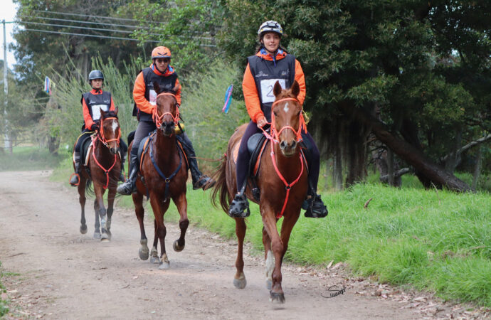 Emocionante competencia de Enduro Ecuestre en Colombia: Las Dos Lagunas marca el inicio del calendario
