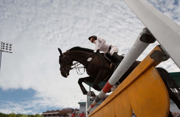 Campeonato Nacional de Semilleros en la Hacienda Alfaguara de Cundinamarca