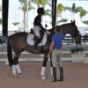 Conozca las oportunidades educativas para adiestramiento durante la temporada en Florida