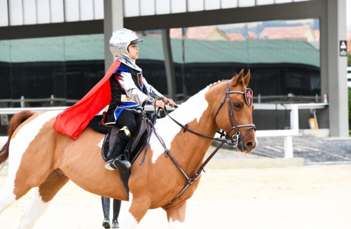 Explorando los primeros pasos en los deportes ecuestres: Be Jumpers