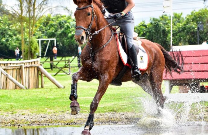 “Es muy probable que cada vez tengamos más mujeres en las pruebas más grandes y, a su vez, más mujeres puedan dar el salto para dedicar su vida a los caballos.”: Anne Charlotte Brieke