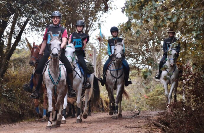 Gran Desafío en Haras la Macoya: Segunda Válida del Enduro Ecuestre 2024 Desafía a jinetes y caballos