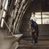 Equi for All’ presenta el segundo evento del ‘Online Dressage Tour’, un evento online que democratiza la Doma Clásica