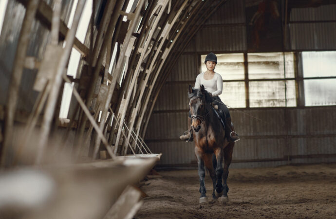 Equi for All’ presenta el segundo evento del ‘Online Dressage Tour’, un evento online que democratiza la Doma Clásica