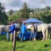 Cuarta válida del calendario Nacional de Enduro Ecuestre: De regreso a Subachoque
