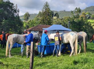 Cuarta válida del calendario Nacional de Enduro Ecuestre: De regreso a Subachoque