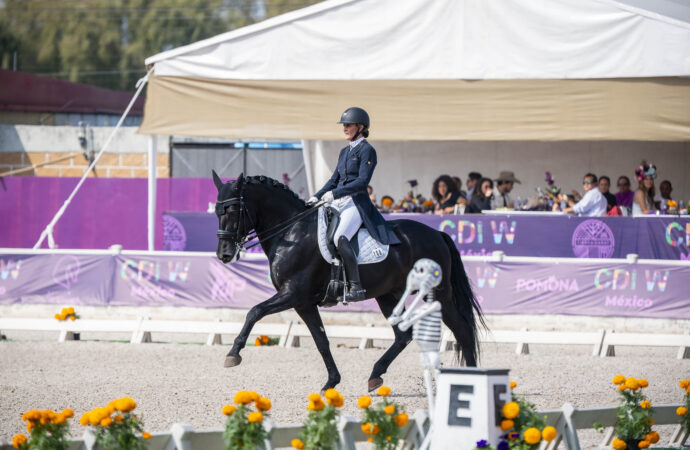 EL CDIW DRESSAGE 2025 abre sus puertas a más talentos jóvenes