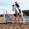 Un SPA equino llega al salto ecuestre para apoyar la recuperación del caballo atleta