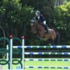Pharvet impulsa una nueva era de nutrición y bienestar en el caballo deportivo