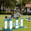 21 países competirán en el Mundial Militar de Equitación en Ecuador